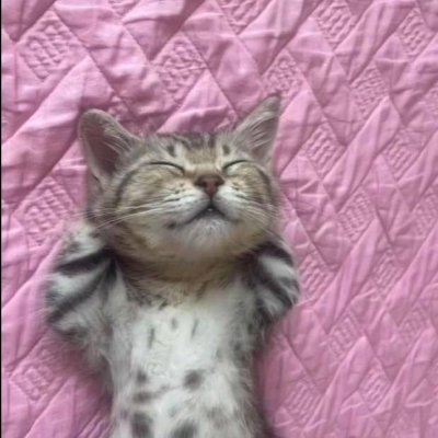 0xkitty69