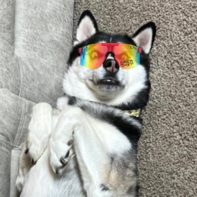 10xJDOG